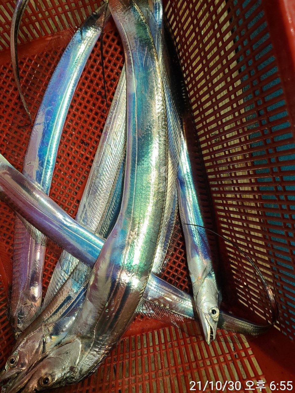 media&amp;token=b191dcfd-68fa-44e0-acb8-45c28f654ad2