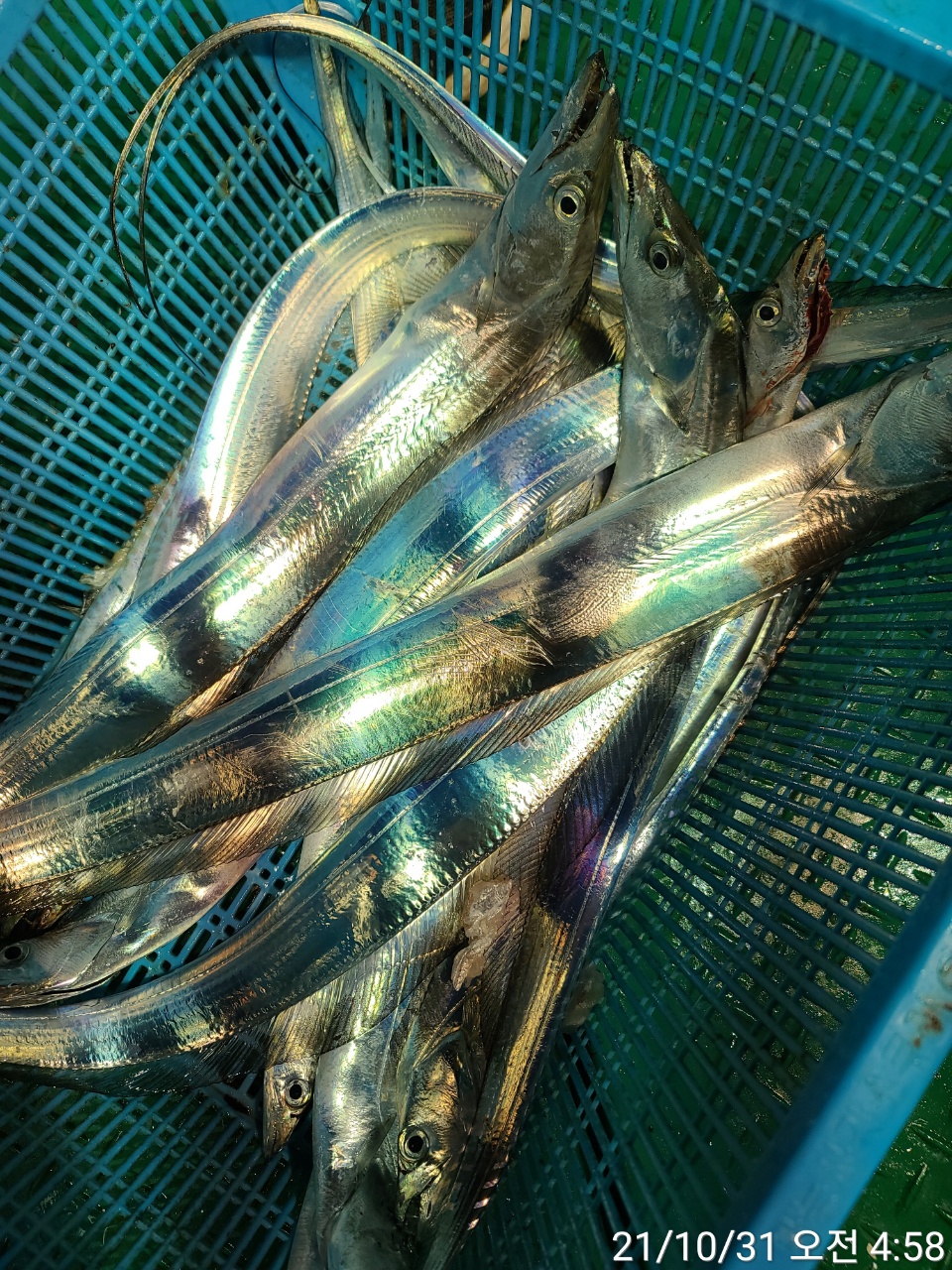 media&amp;token=f32571cf-9c31-4cfd-b4c5-004863c35bdf