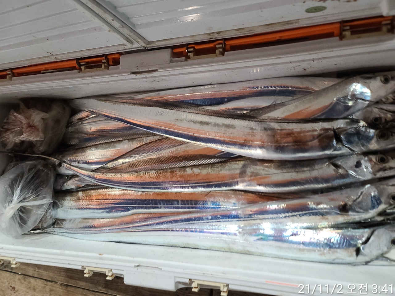 media&amp;token=0afc0504-8b23-4976-8427-560e8fc73224