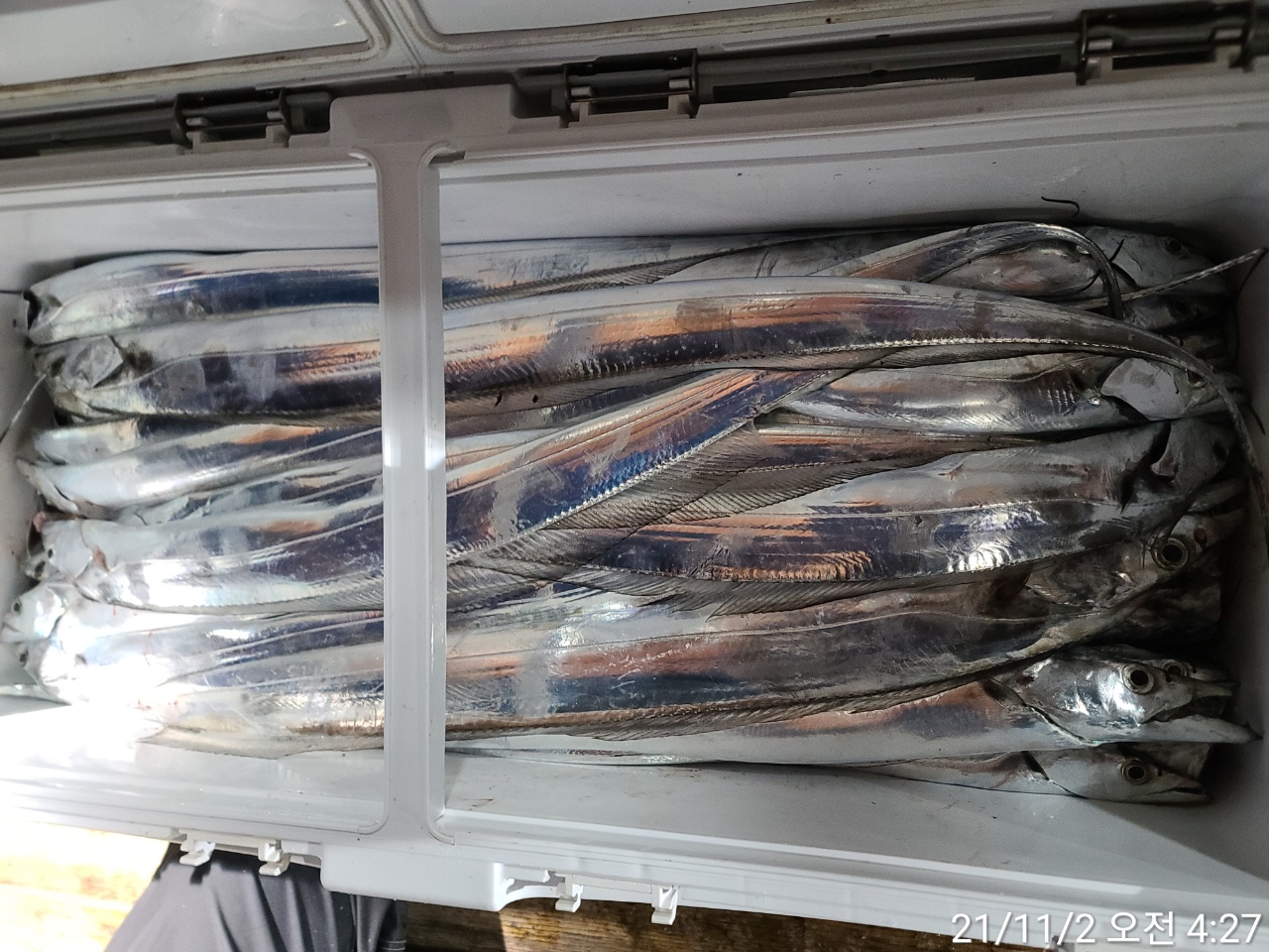 media&amp;token=ee1dba7b-ad45-4d56-bbde-d7e949fa7e34