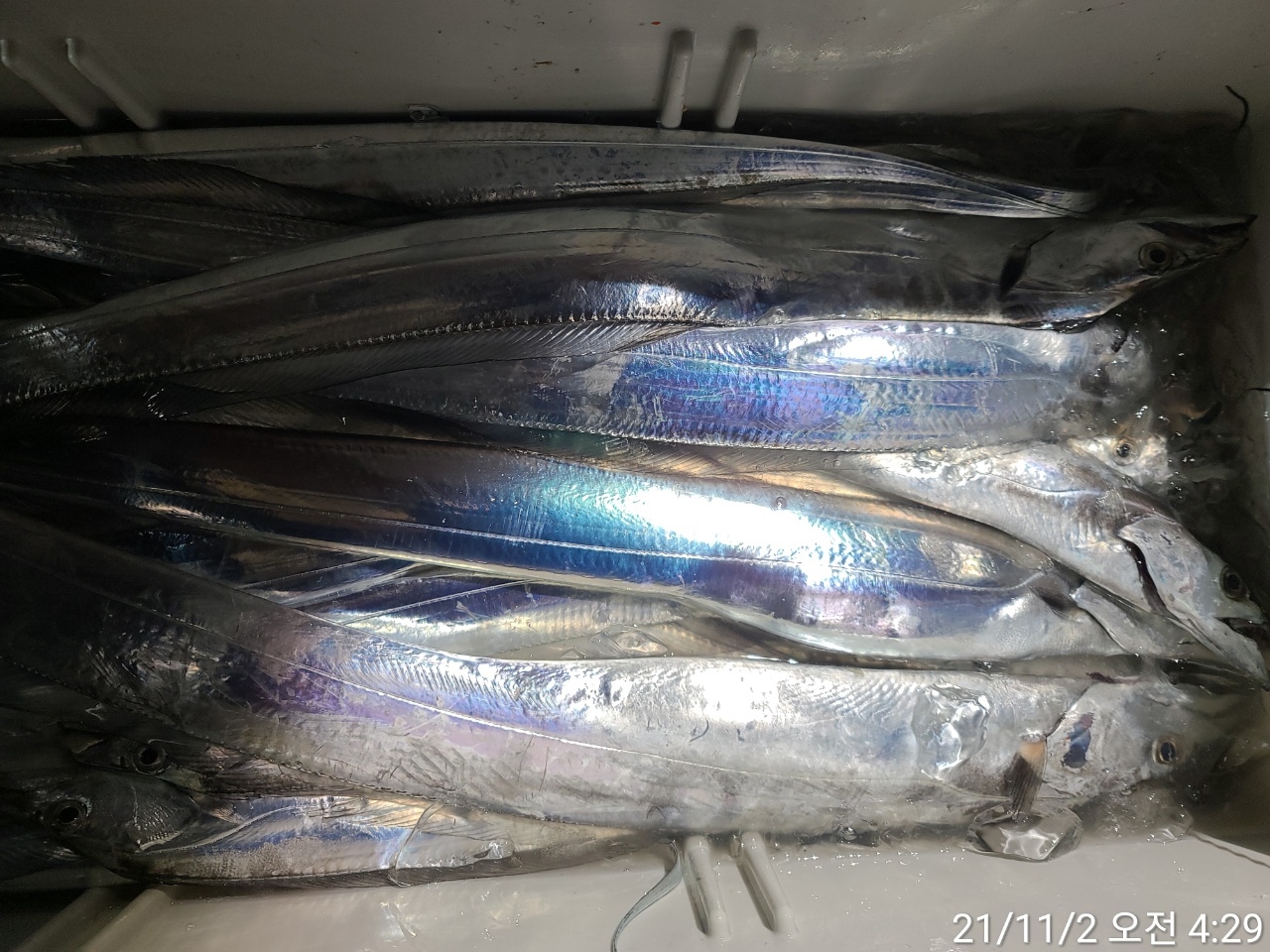 media&amp;token=0d41234e-d72c-42a0-acc1-db74e56c4e62