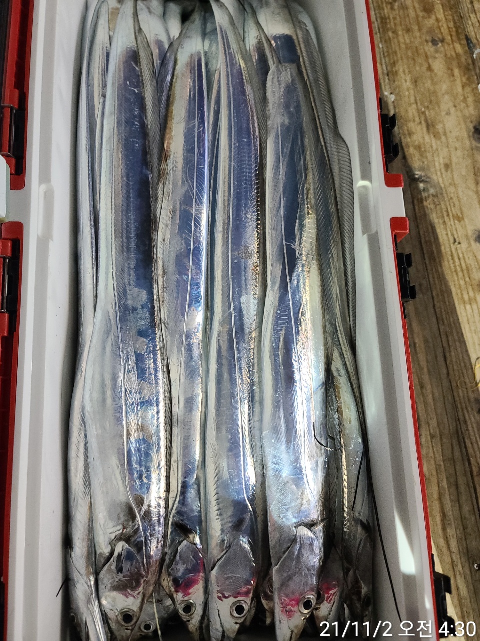 media&amp;token=09c1563f-cc16-4d92-84b0-ba239ca5b26e