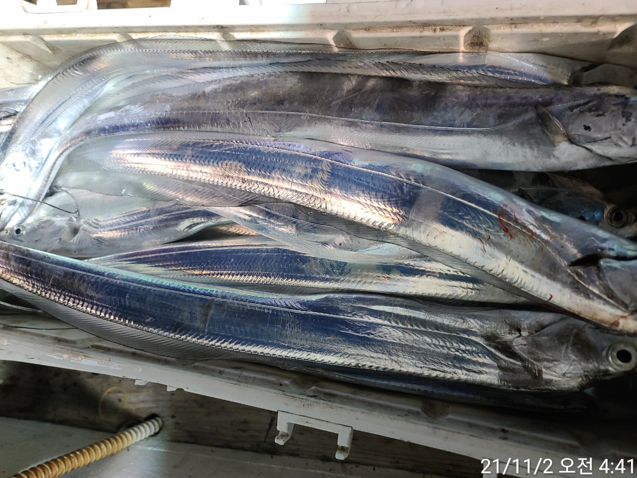 media&amp;token=12d3ad52-3c43-4022-9319-e0ef75e40f6c