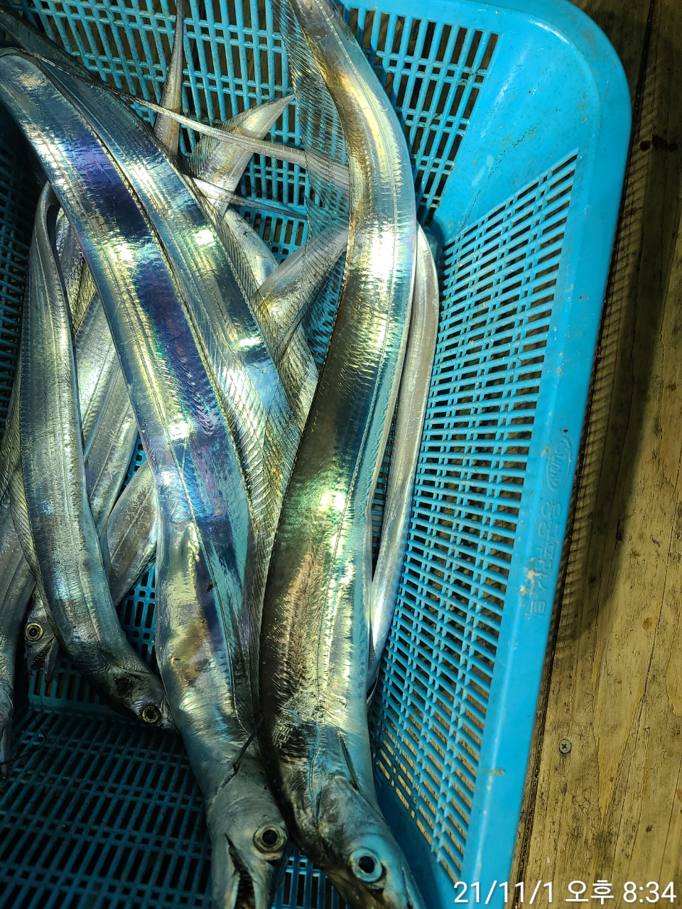 media&amp;token=b436a26c-f80b-4c0e-b4b8-f11a881795a9