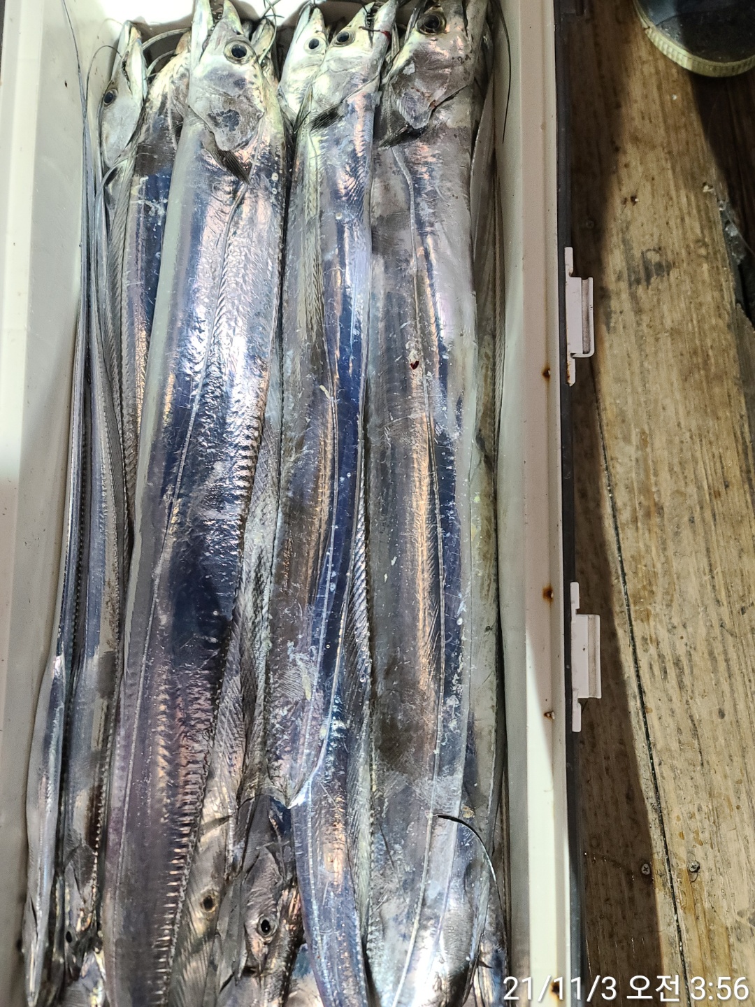 media&amp;token=6156ba34-0af9-46ab-bd6c-c7f7567234d5