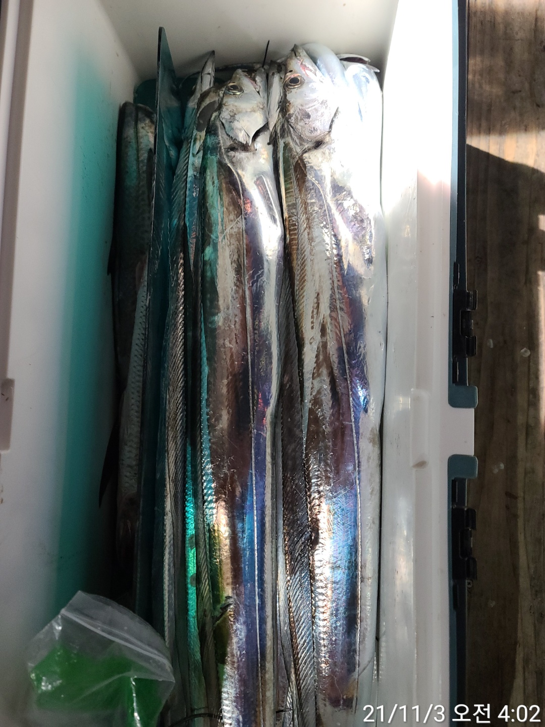 media&amp;token=df60df16-d7bd-4458-81b1-dea13e196fc1