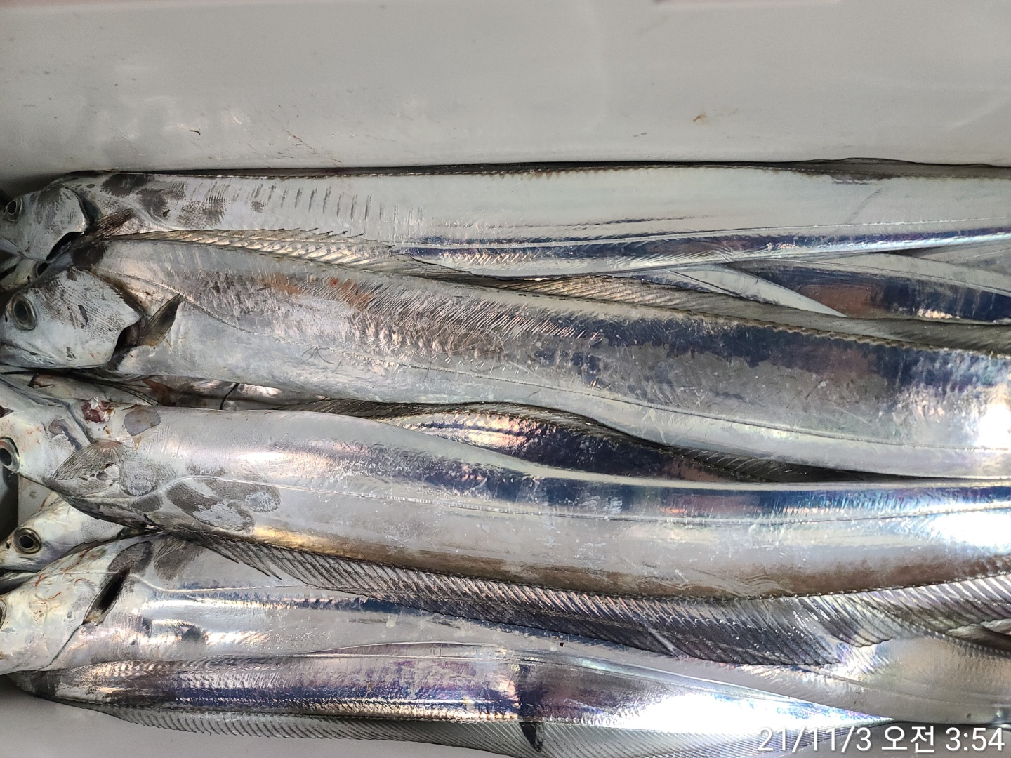 media&amp;token=25a961e8-0890-4094-803e-efcfa9c440fd