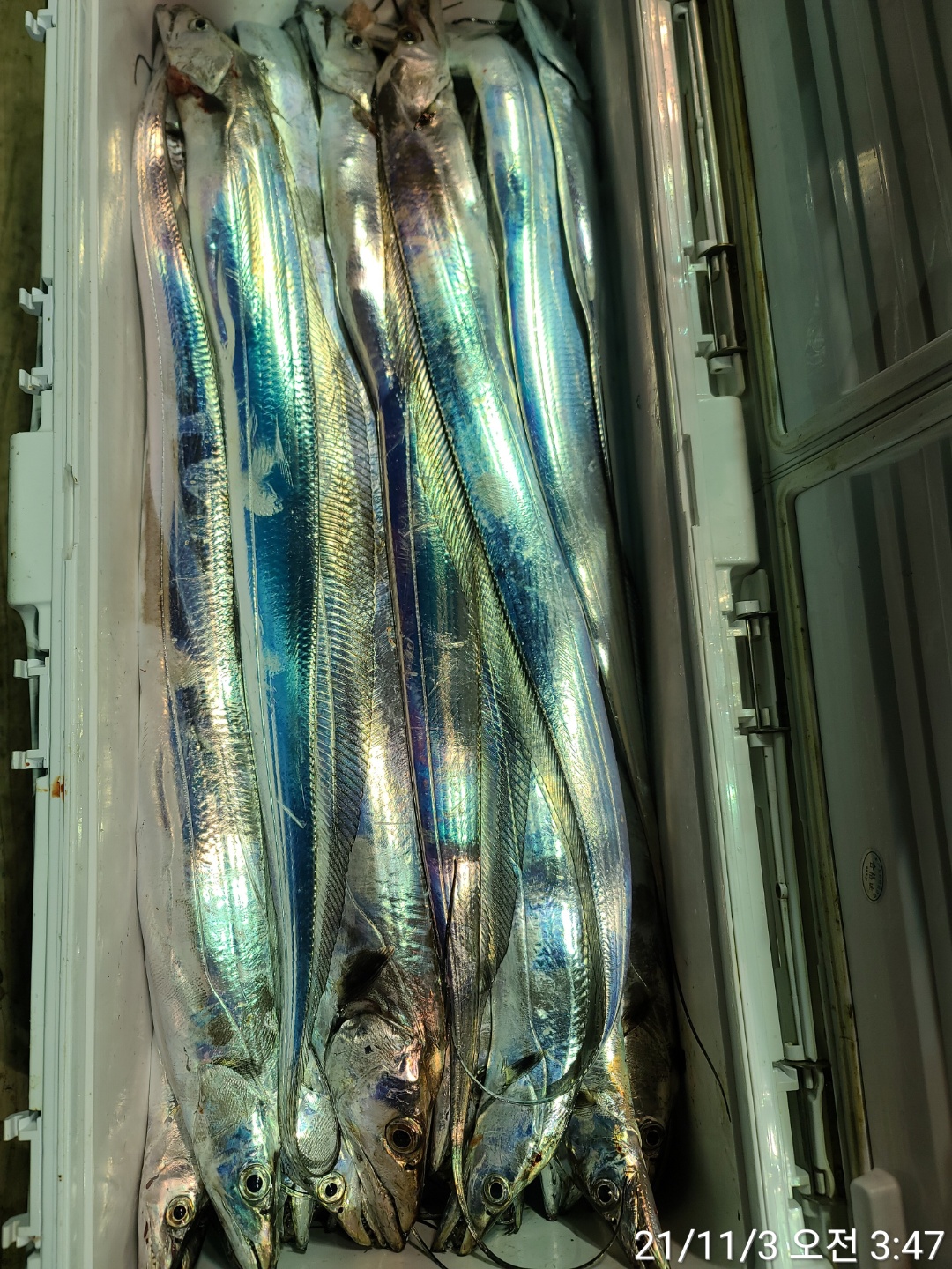 media&amp;token=69054436-bc31-4d2f-9478-9cd37c44312e