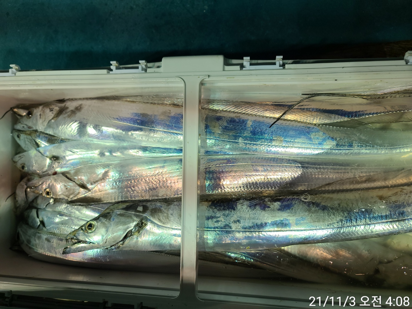 media&amp;token=6884fff4-5193-4fde-9fc5-e230551f2a7a