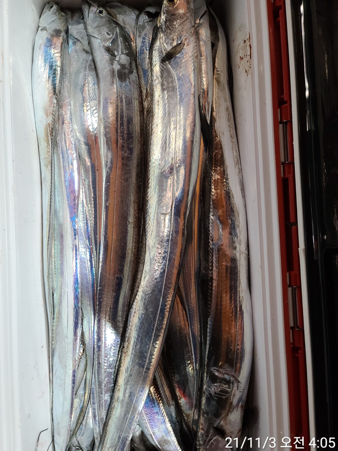 media&amp;token=cabcad45-ce72-4bdf-b097-3abb89dd8838