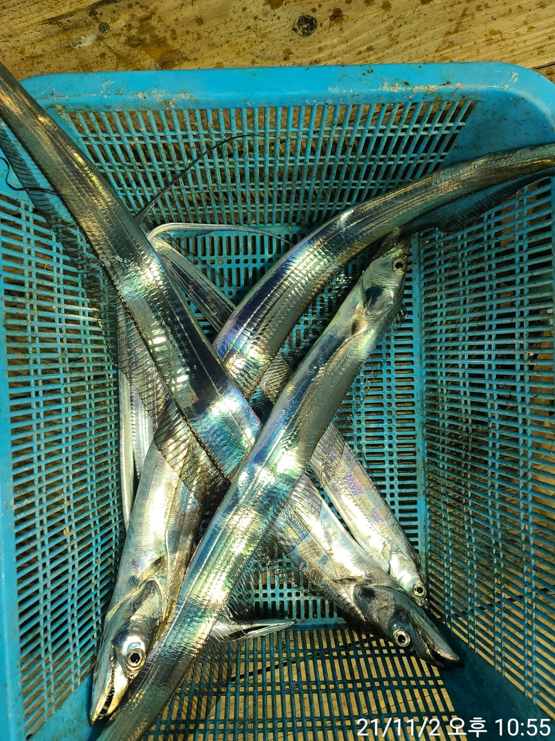 media&amp;token=c71004d0-1162-4f96-bc7f-0f6766585261