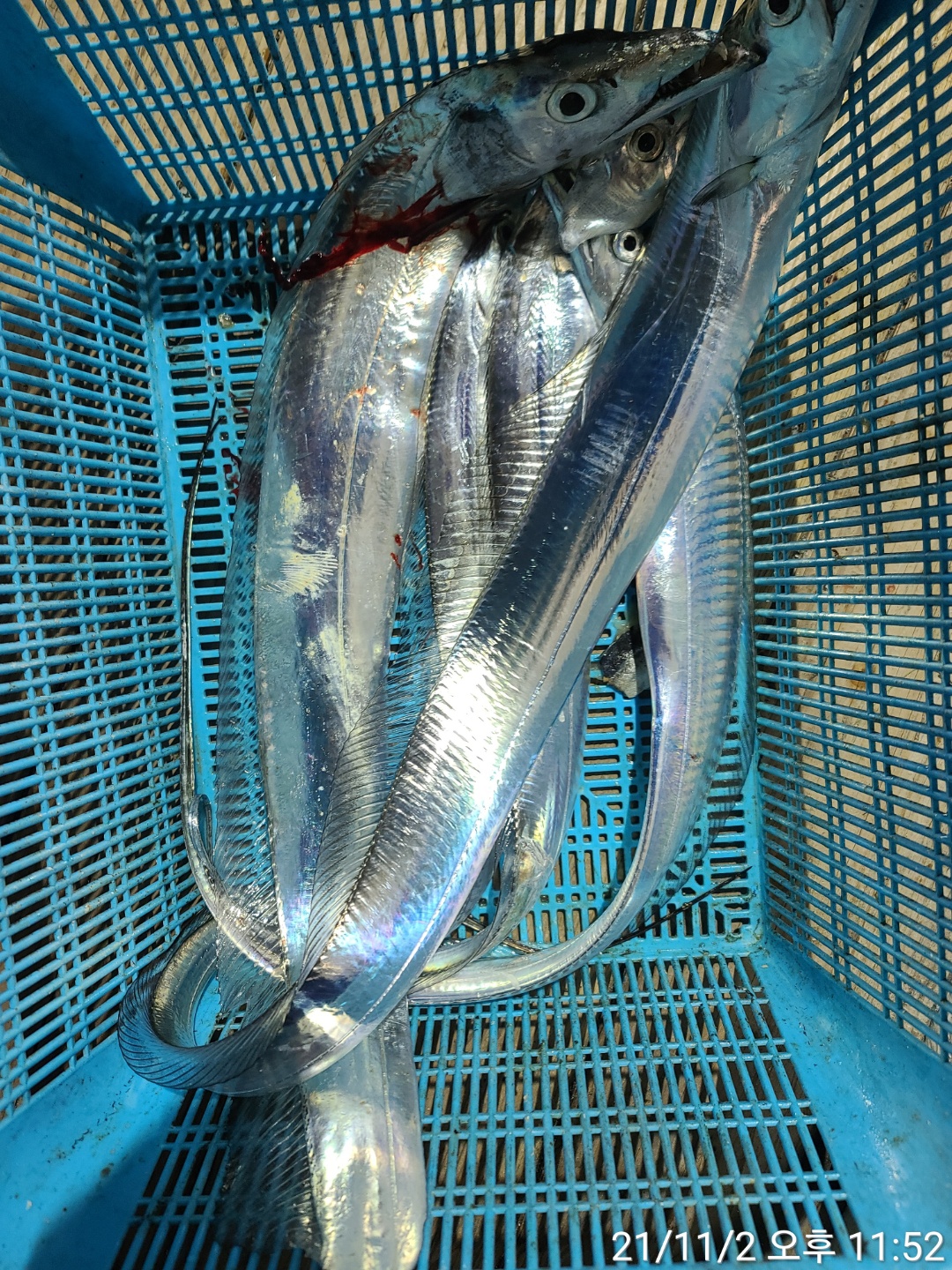 media&amp;token=8b85b446-b199-4e87-9c9d-dc6307f8a74b