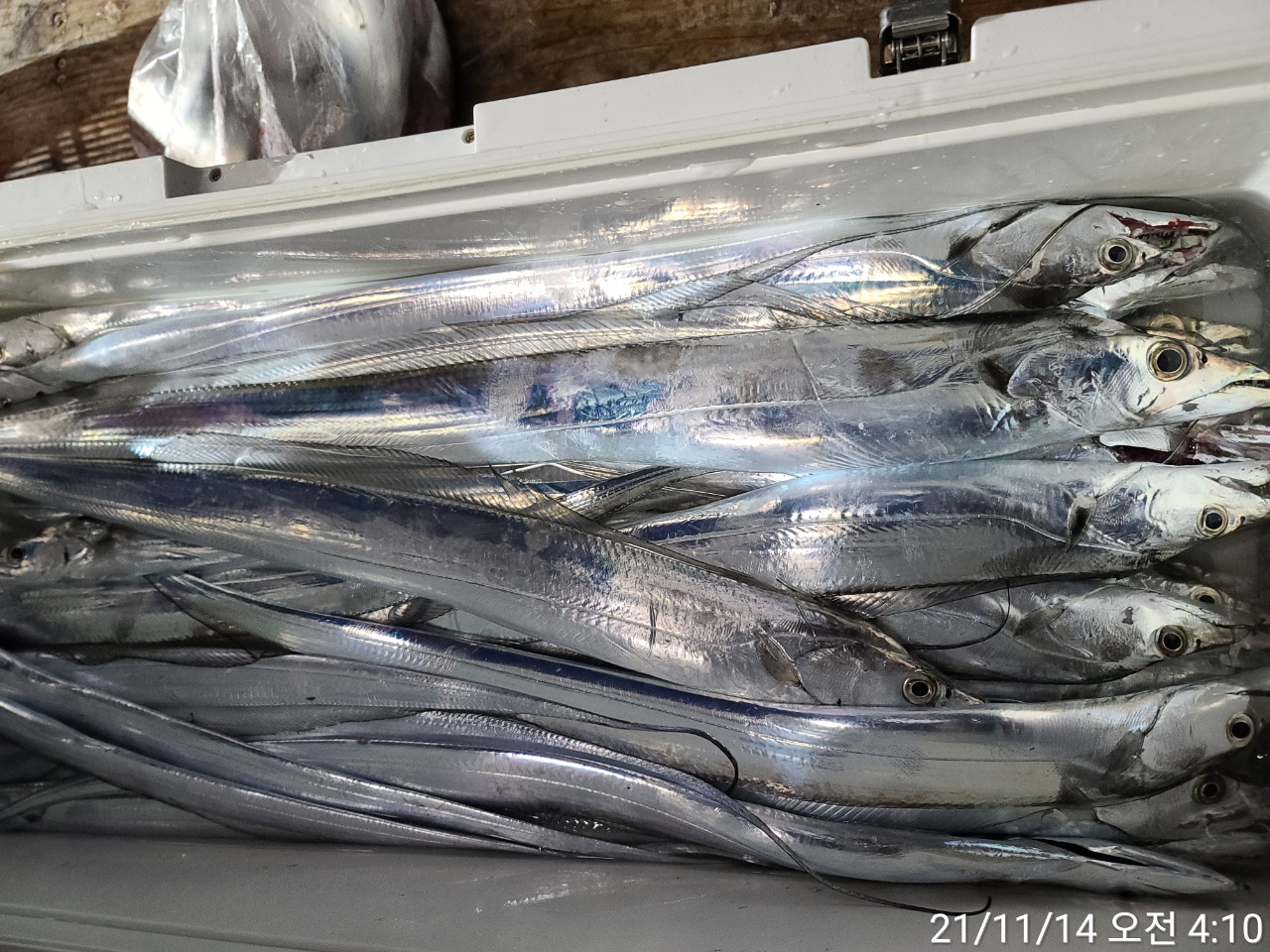 media&amp;token=0ae4cfe7-ee92-4fba-806f-998756aba58c