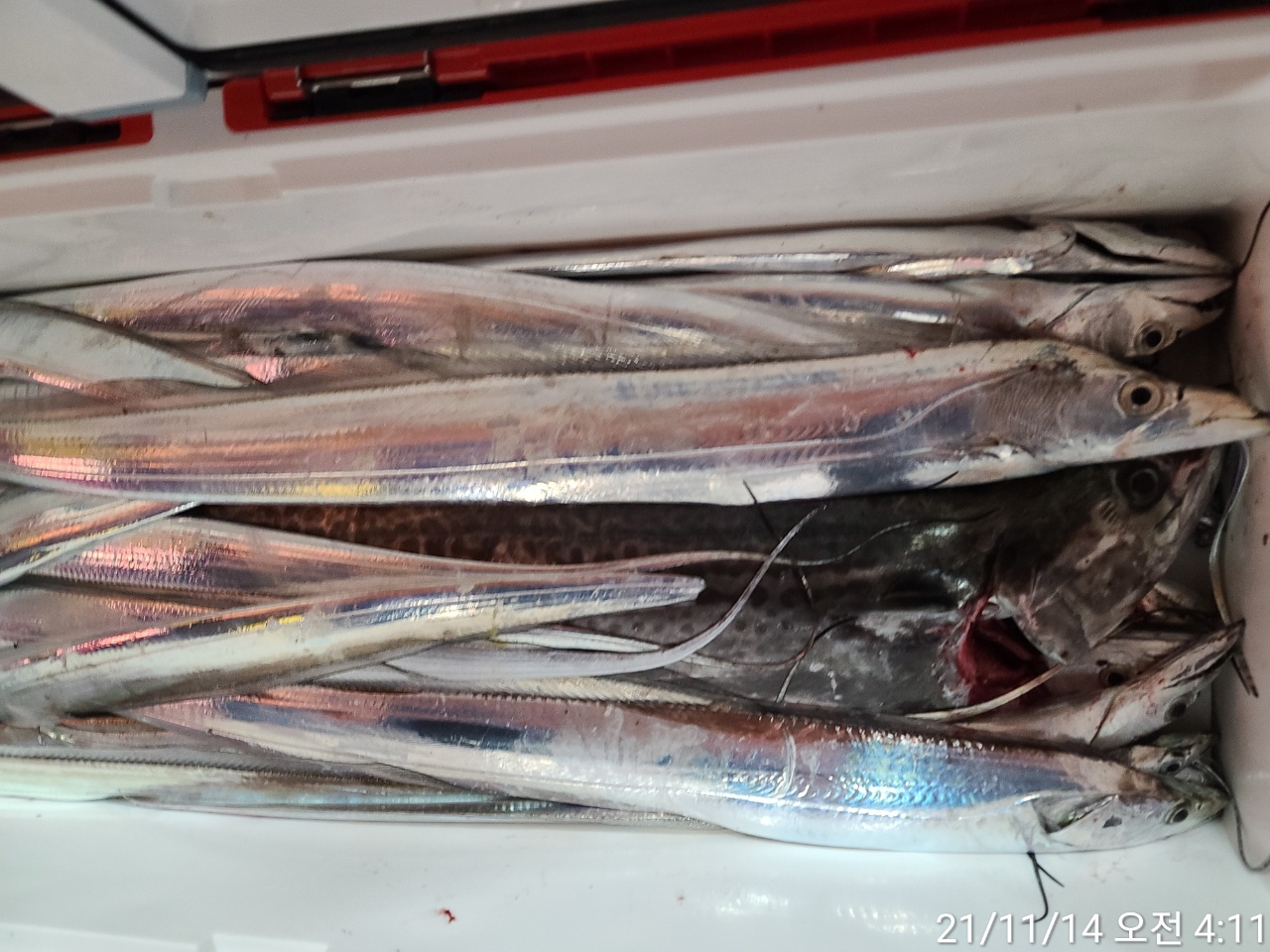 media&amp;token=ae3da6be-8ff2-405a-b254-2b66018bb96a