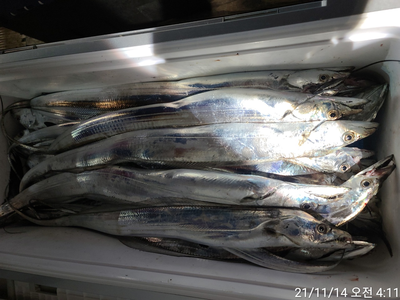 media&amp;token=cc1fa3ef-ca56-4a31-91ee-98d1b23b65d7