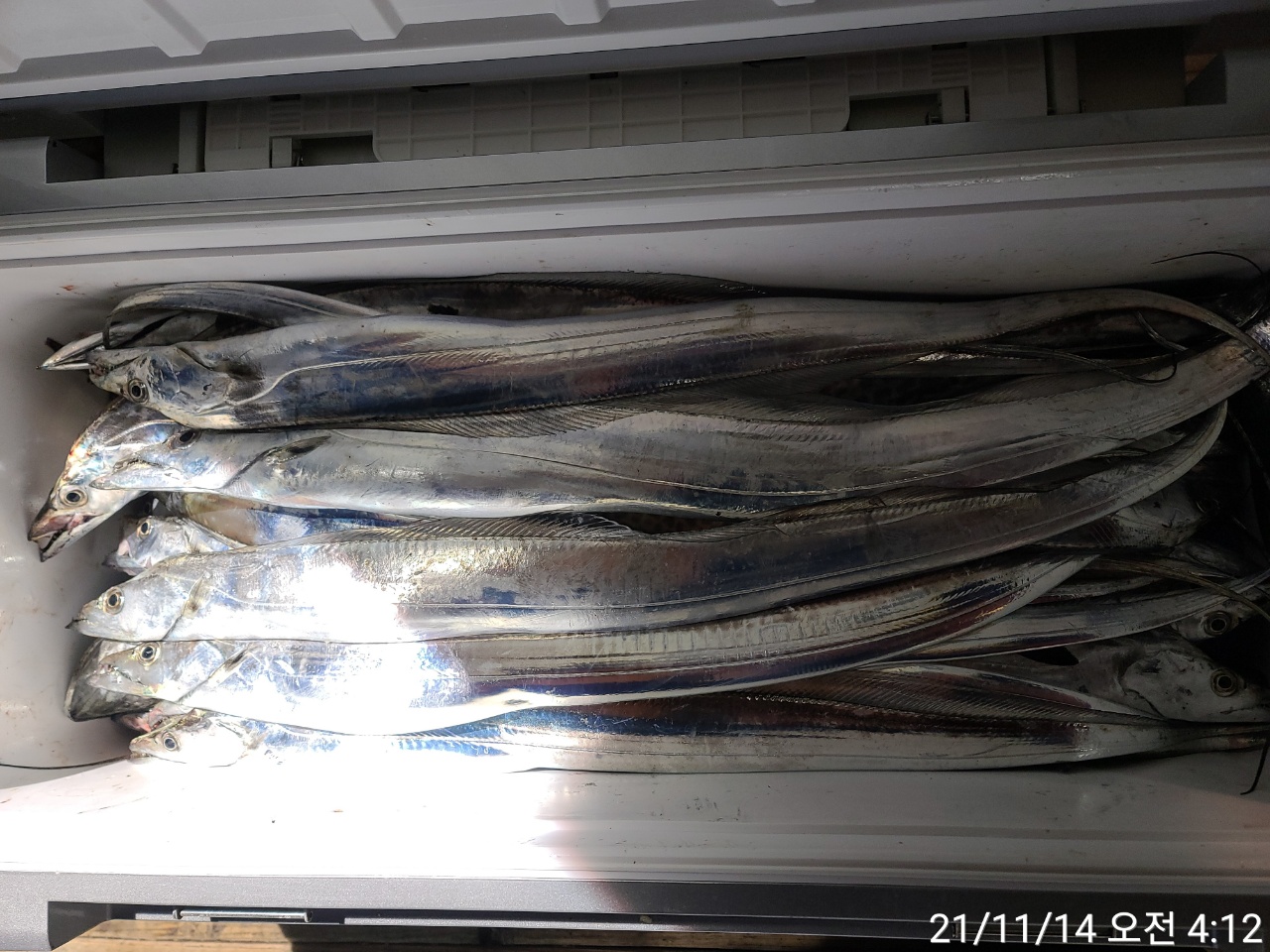 media&amp;token=711fb7fa-68c5-4815-86eb-756e4e7c0179