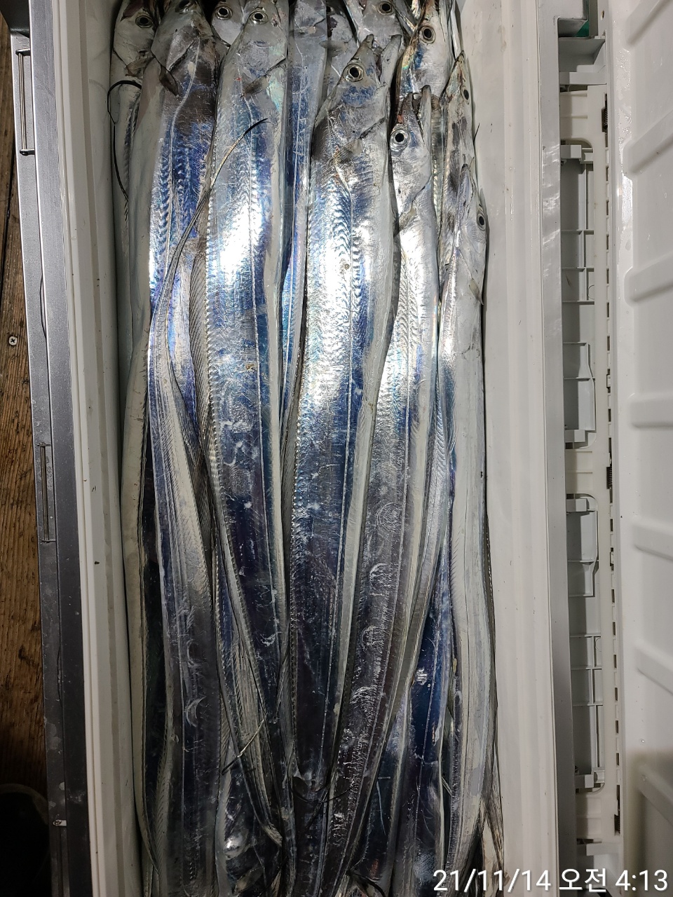 media&amp;token=799b4da8-ee74-40d7-96ea-01e6729a7bed