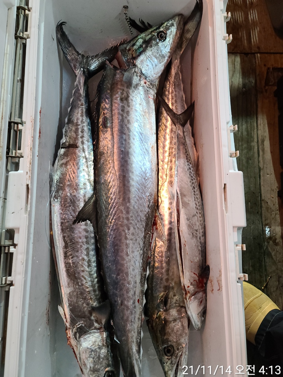 media&amp;token=bc722374-459e-4a48-aaa7-40ed8f79f0f3