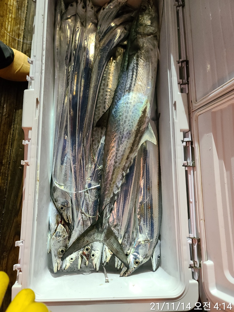 media&amp;token=5a6b9ca7-bc0f-4d8f-b630-ffefa1f1d14d