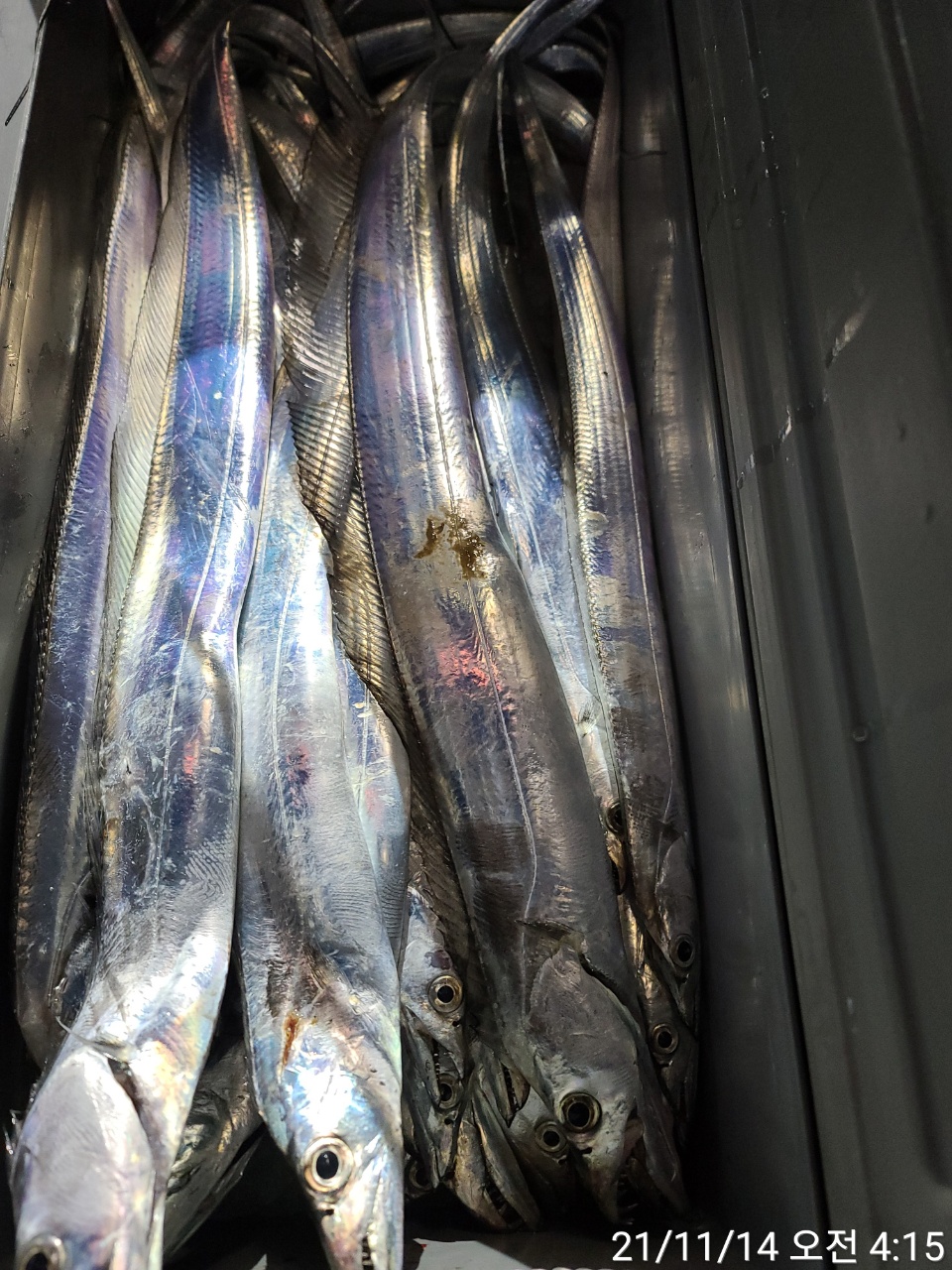 media&amp;token=7aa2c990-3510-4a7b-bd62-de01f4f2081d