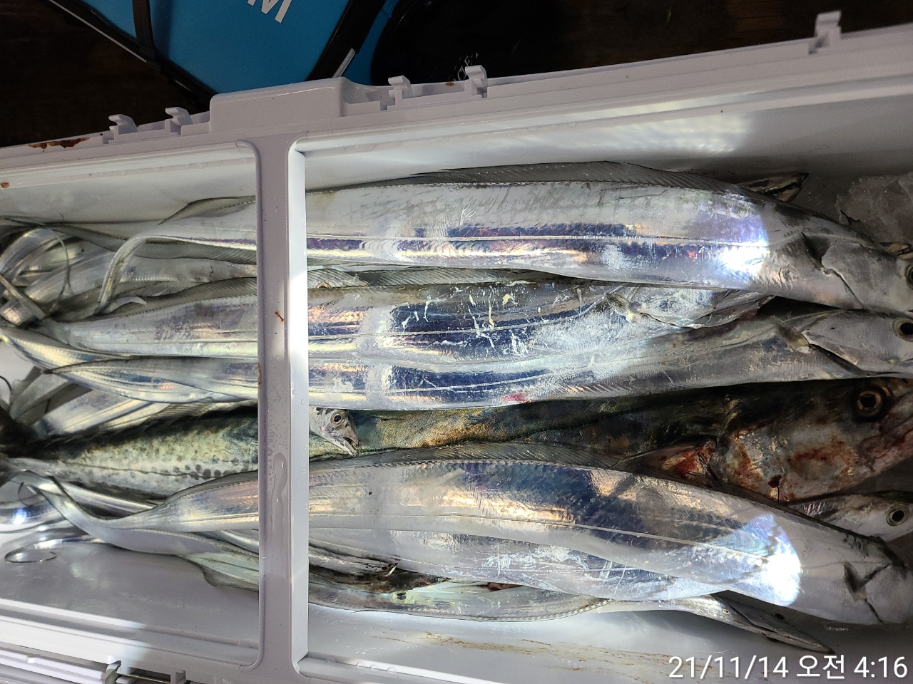 media&amp;token=9fc70c8d-5906-4faf-89ac-7f2acd2ab986