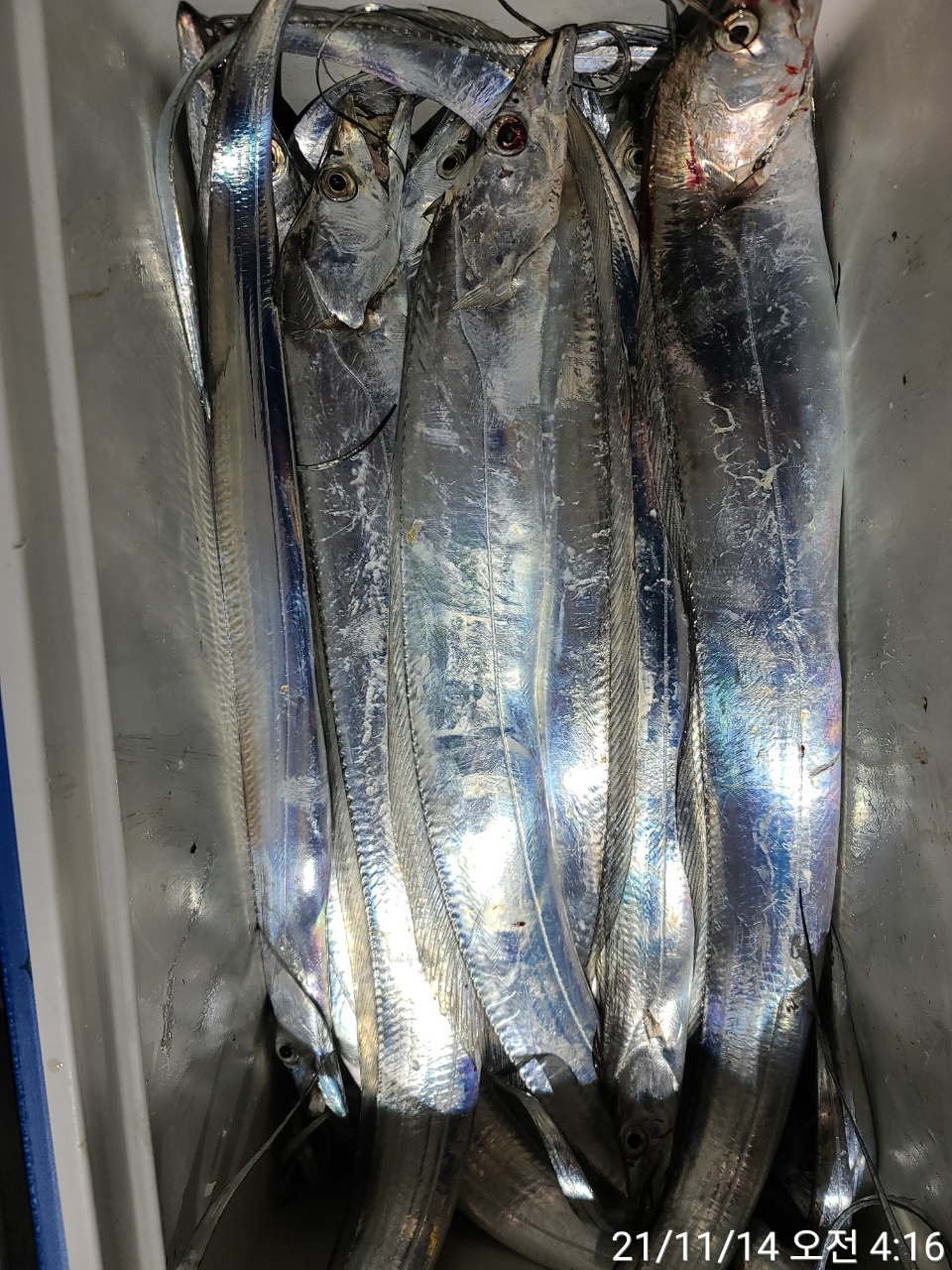 media&amp;token=69cc650e-afee-47fc-a771-7dfd26981b03