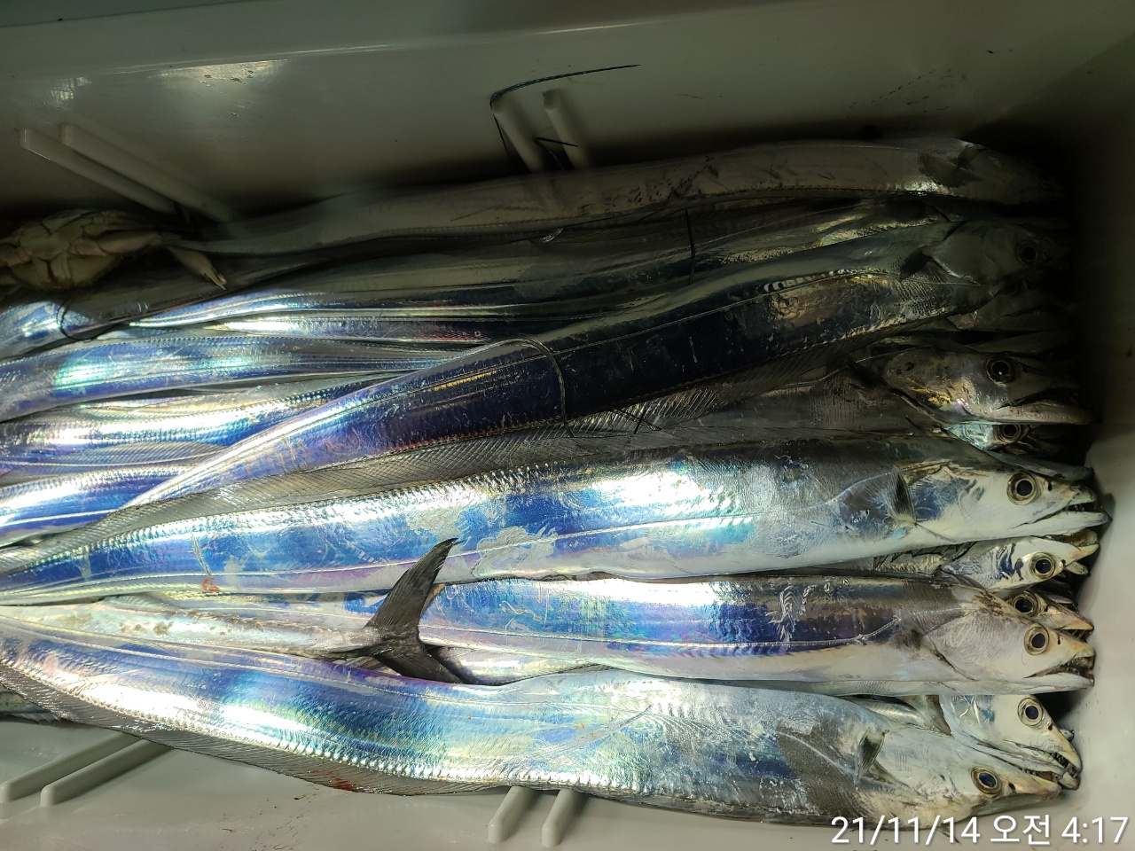 media&amp;token=5074fd38-f2a7-4c93-960b-4d5bd017a2fb