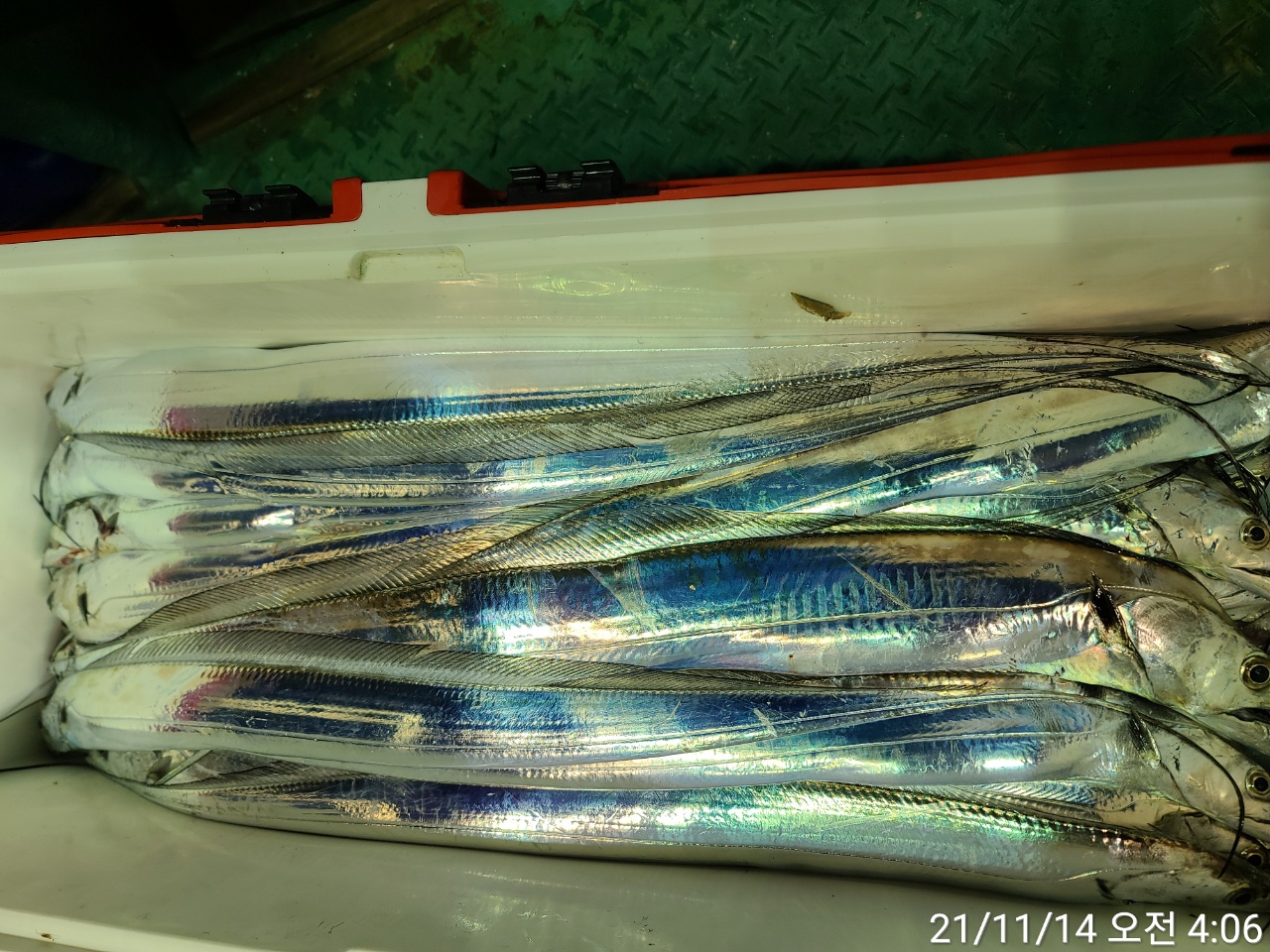 media&amp;token=7f198acc-3c2e-4d0d-94ce-a4f77c0e59b4