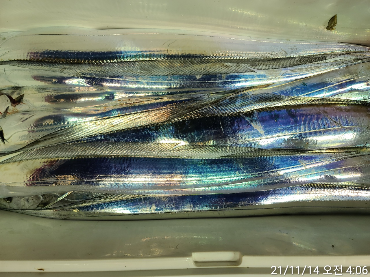 media&amp;token=d1155e93-f047-4bd2-9213-fa352d154a5b