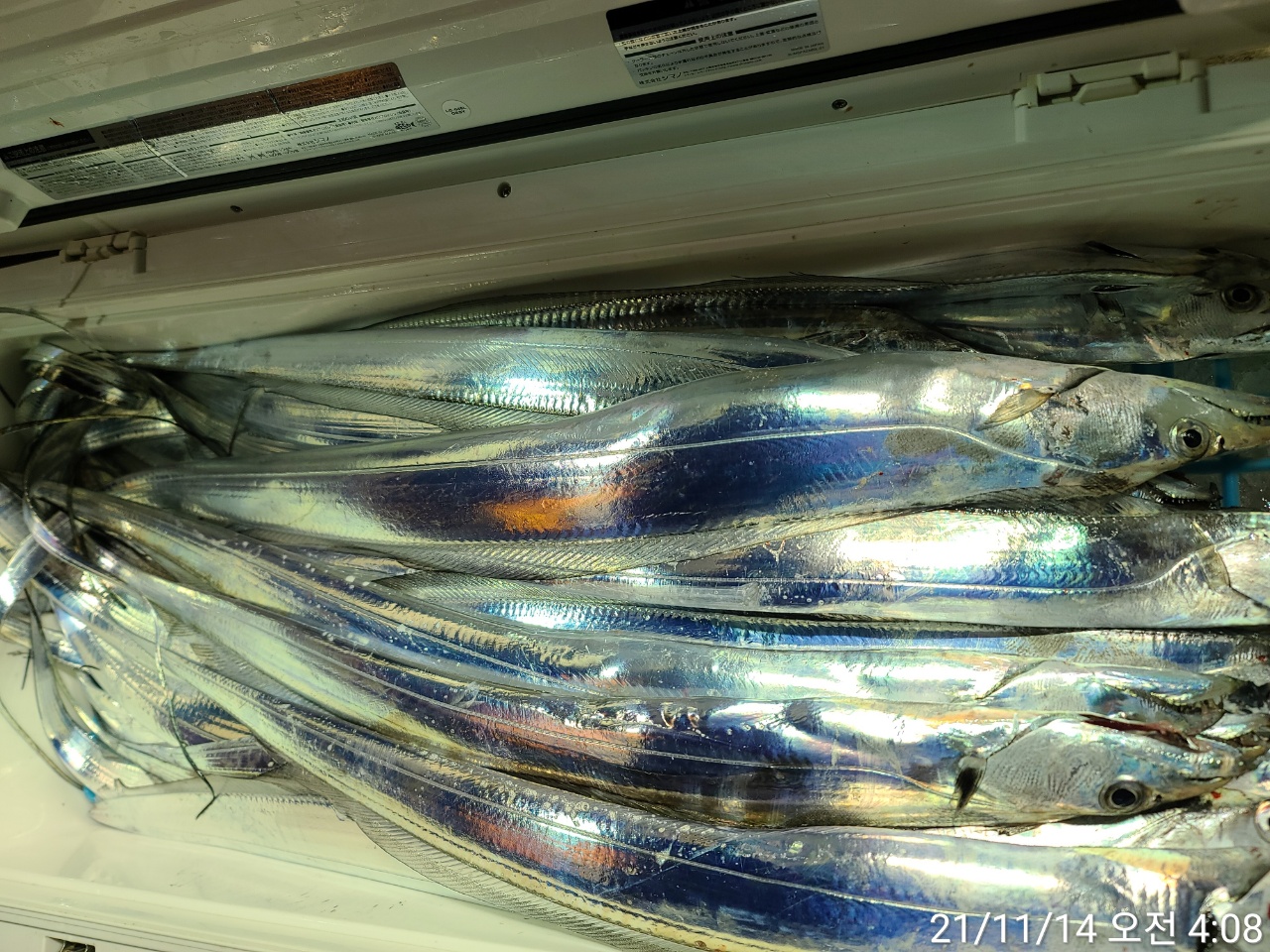 media&amp;token=94e512e2-7fa4-4a8a-99cb-3caa58587104