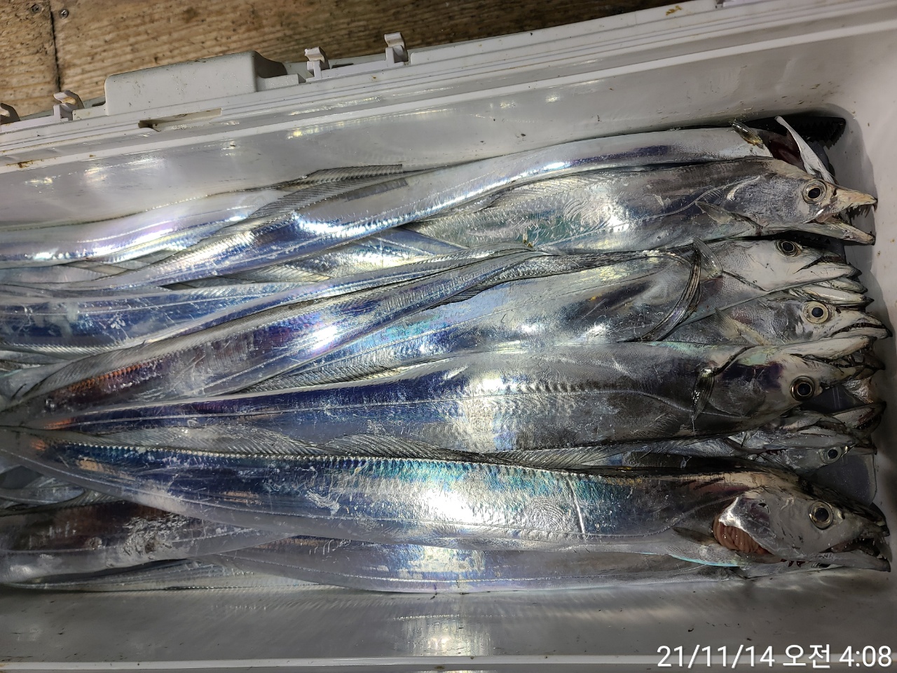 media&amp;token=a063e4cf-c2a4-4964-99b3-c2626139dd73