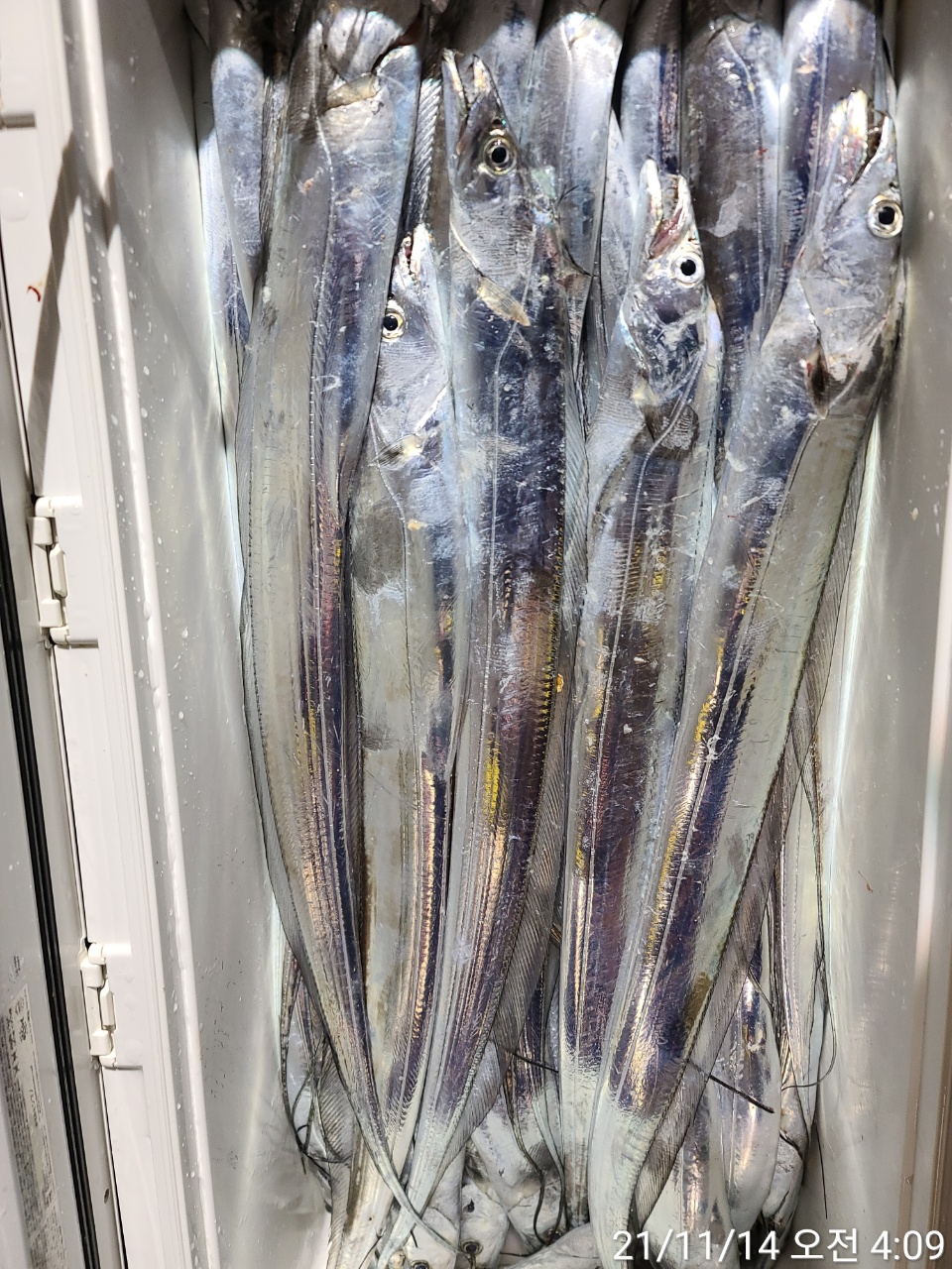 media&amp;token=de3cb05b-fcf1-49ee-8bf1-249f1ac600e6