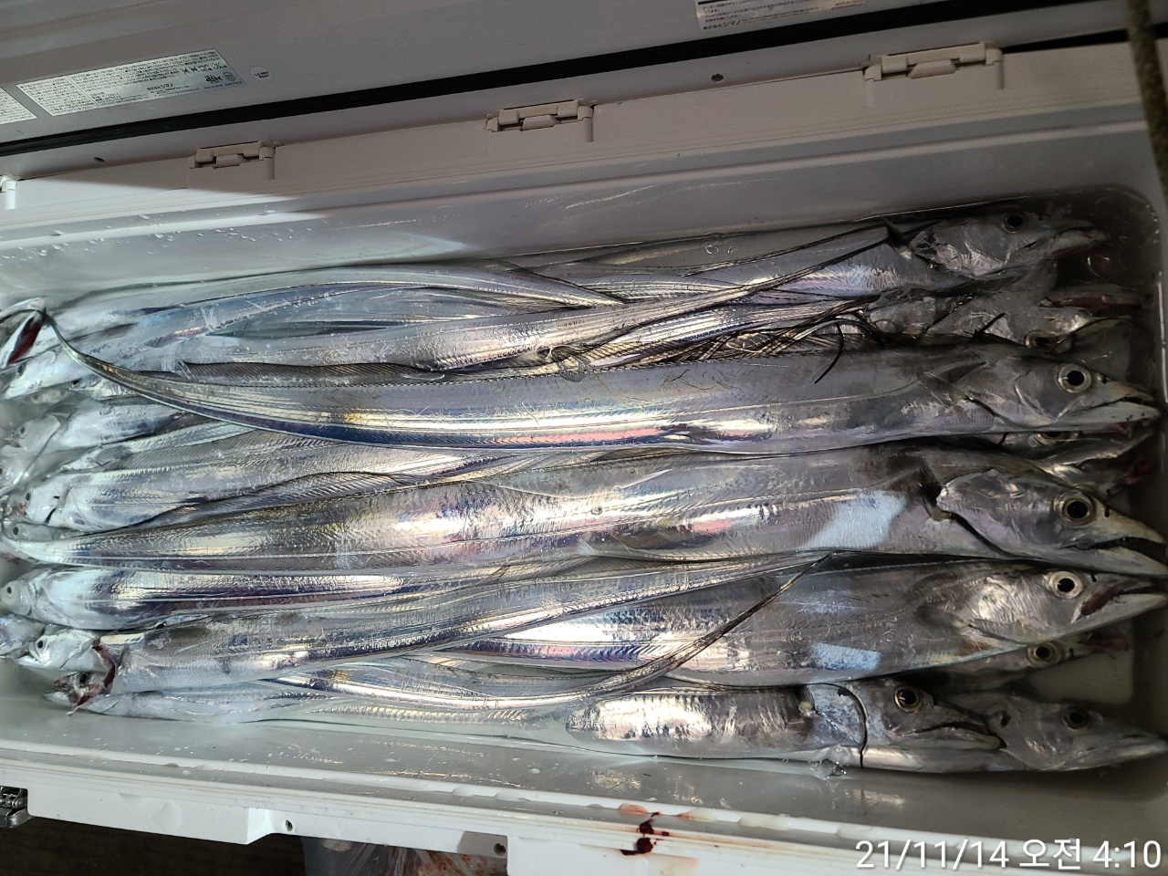 media&amp;token=5f36b501-b723-48b2-988d-972c3d204ead