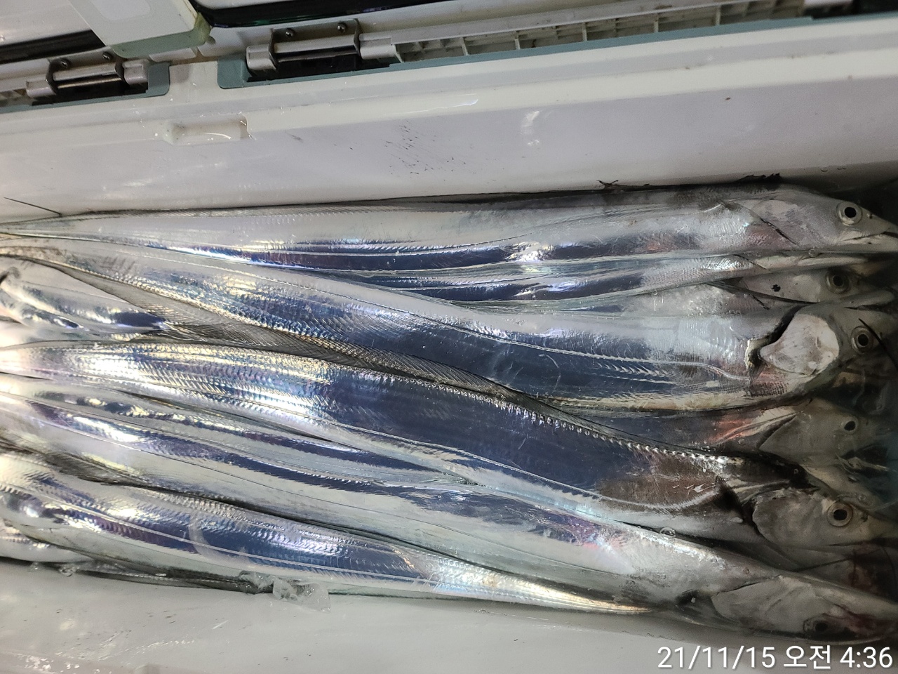 media&amp;token=c59f5d76-1569-4875-88fe-361d31cd90a9