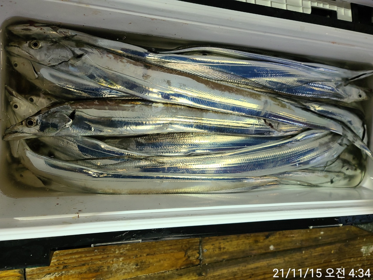 media&amp;token=537b5149-59d1-4791-b3e6-4366c9cdc463