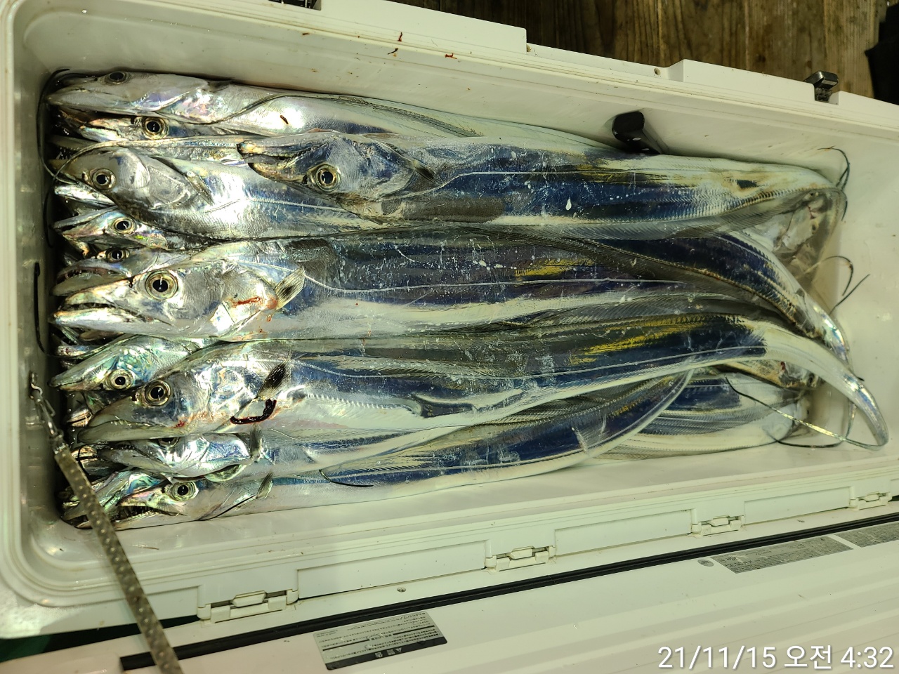 media&amp;token=c1c27eca-ea40-45f1-bf6a-2189597604a2