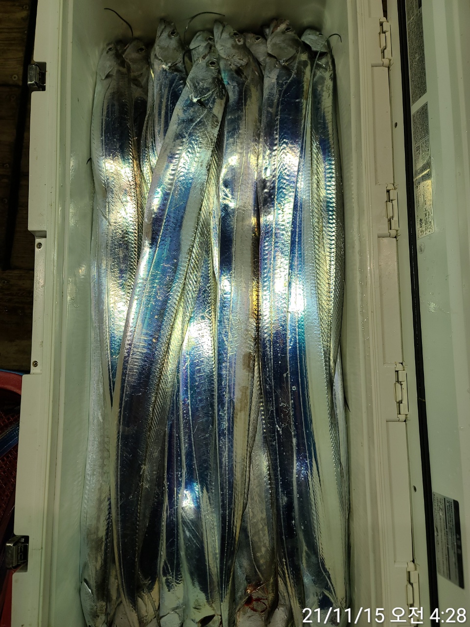 media&amp;token=3bf59b23-24ae-4267-b486-9093327a9a5f