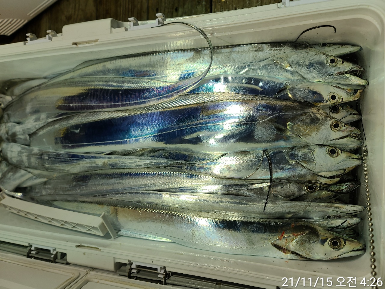 media&amp;token=a762ffb7-0e9a-47ba-af18-374ced32d4a8