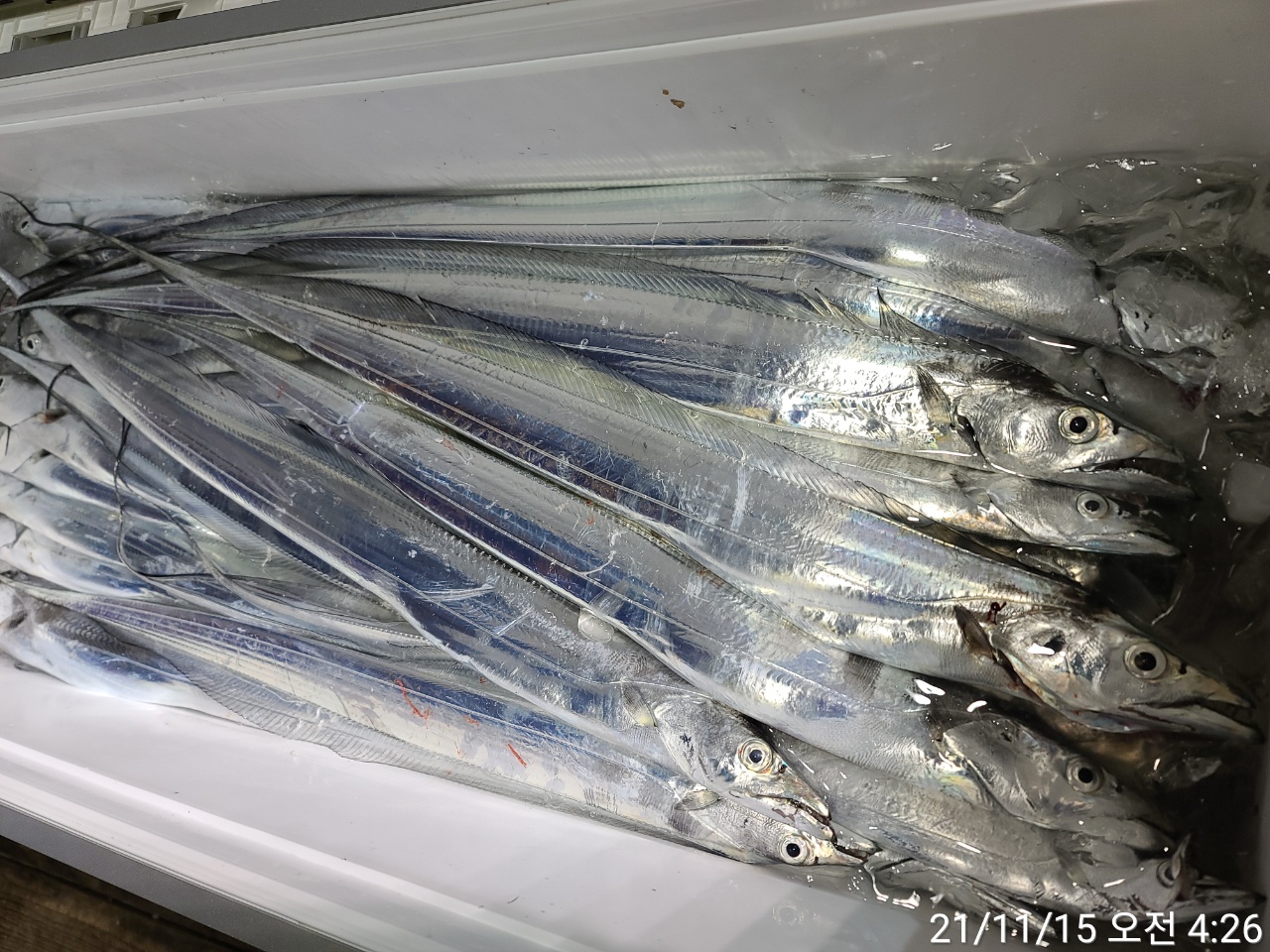 media&amp;token=45dab053-b233-4d80-bc12-f269d527e1f2