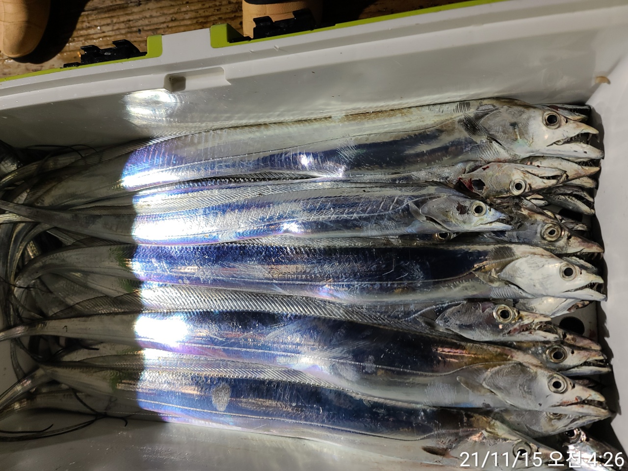 media&amp;token=a1888b2f-73c7-4221-a782-ea3cb90c9b97