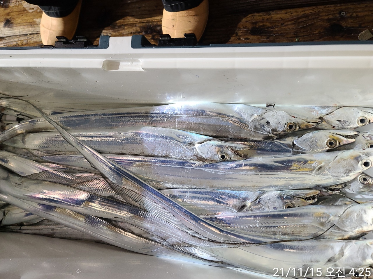 media&amp;token=671dbaff-77f0-4c79-ad70-2942270b3955