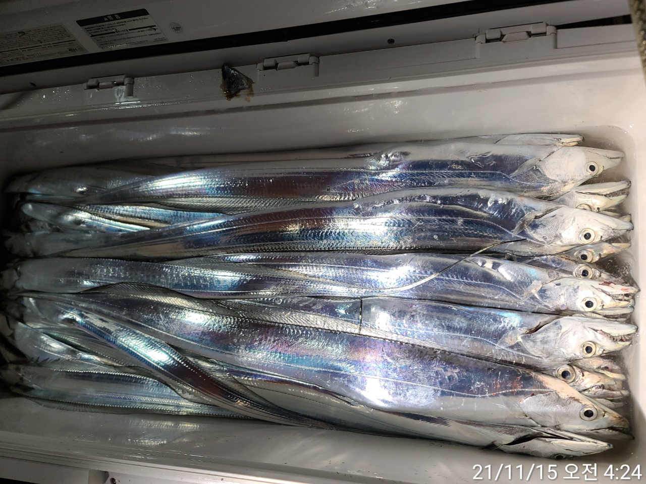 media&amp;token=40a3779c-6aaa-435b-b455-487fe73403cd