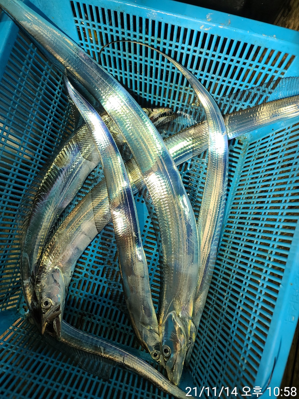 media&amp;token=be19a6a2-3130-4f8f-9eb7-dc6b660dac89