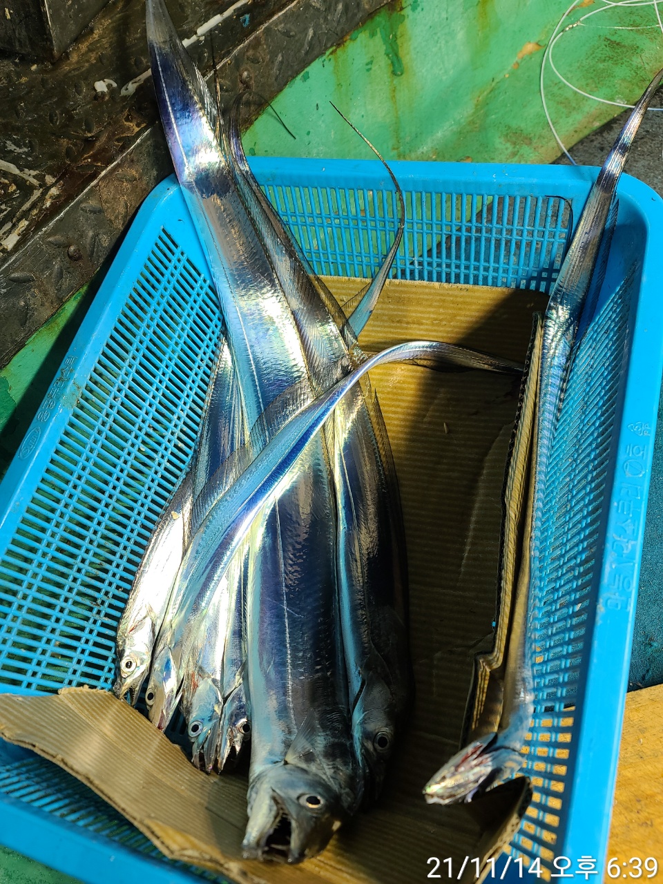 media&amp;token=948dabdf-be52-4faf-afd2-9d91a595c81b