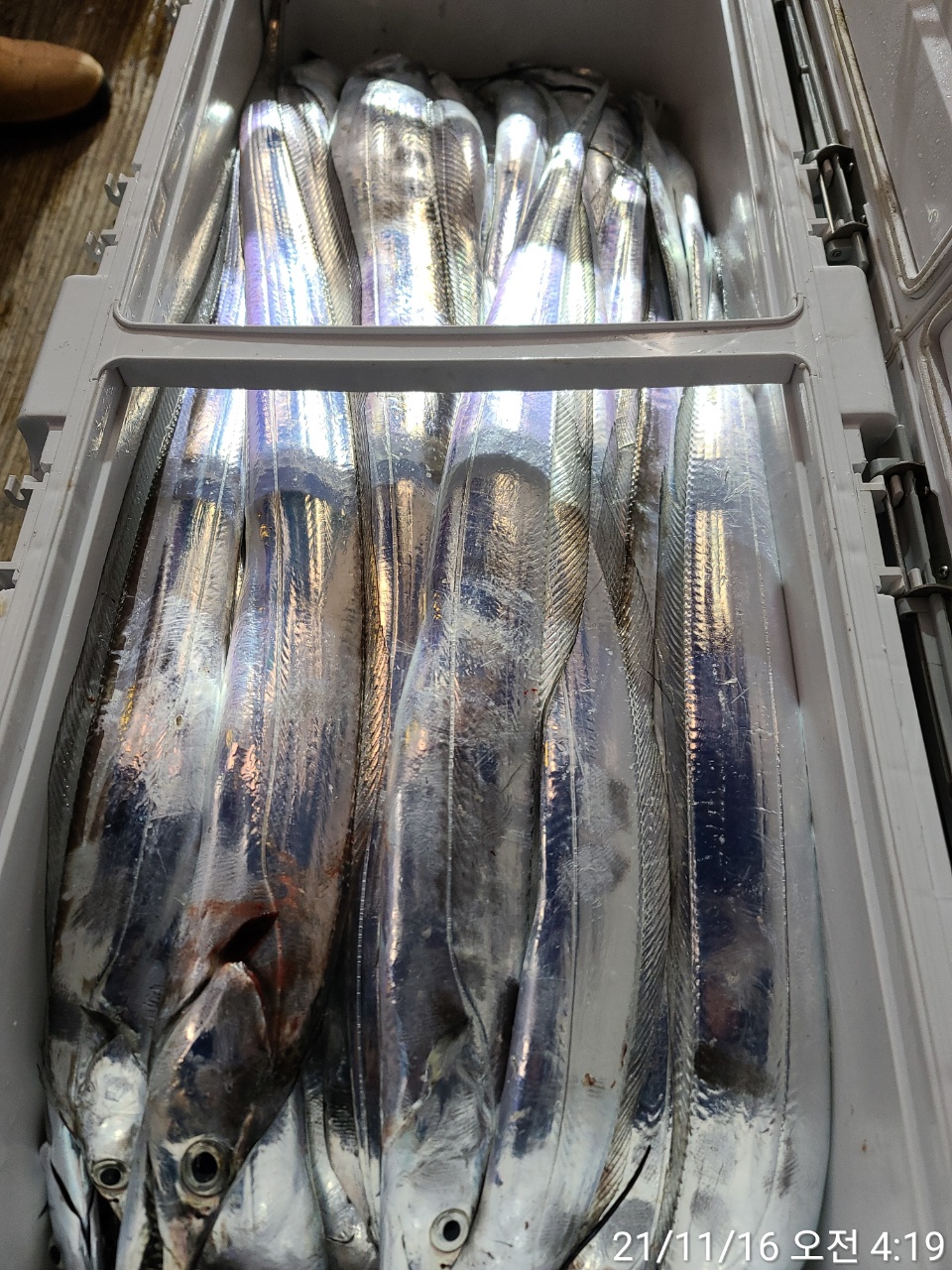 media&amp;token=b7096efe-16fb-4a78-b790-b9bfb45e1166