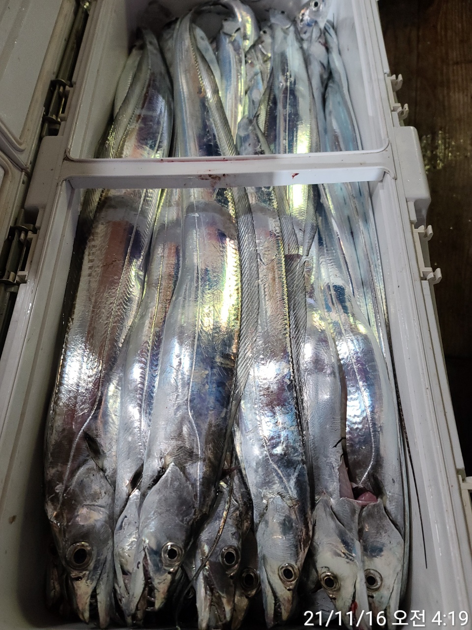 media&amp;token=07a63328-8019-487b-99b8-93bc6d859b6a