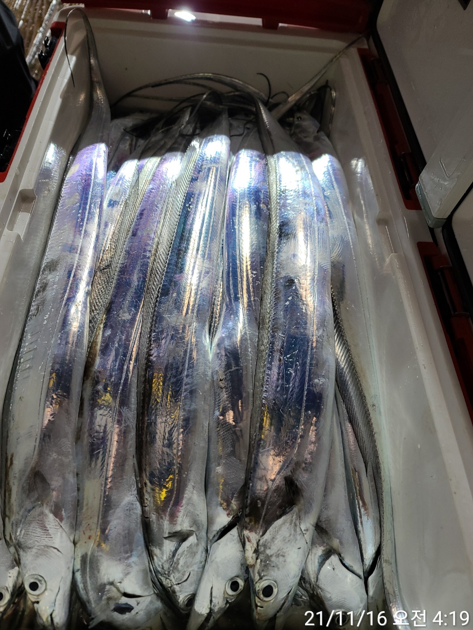 media&amp;token=3c5ef727-7e69-4477-90b6-897408e81aeb