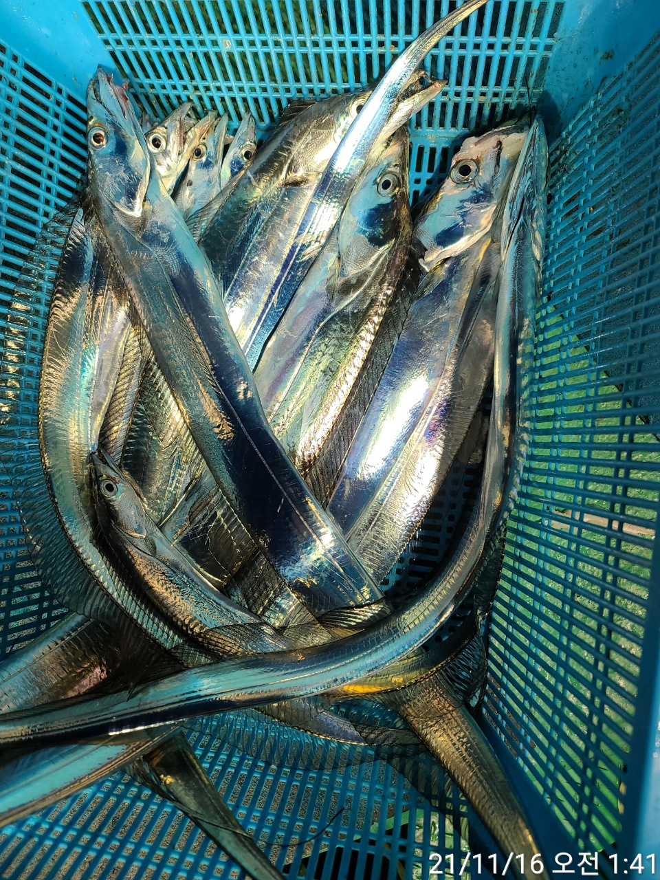 media&amp;token=f4d89ff7-35d1-42a5-8d88-43943b12ebde