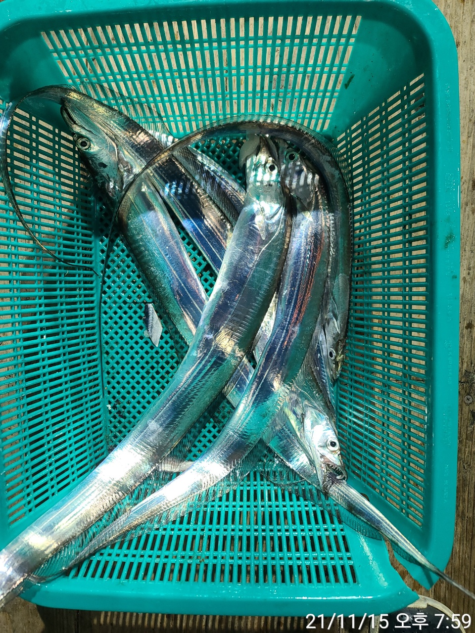 media&amp;token=338c1ce3-91dd-447b-8726-3fd232225c28