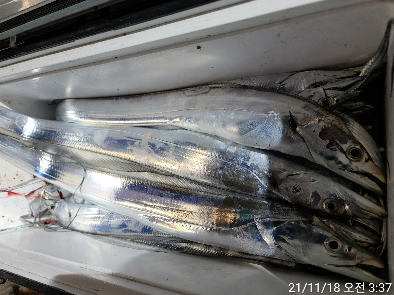 media&amp;token=a2ef32ed-cb81-4dd9-8de6-5fea8326dbe3